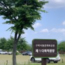 낙동강체육공원 야구장 | 찾은 것 같아요.. 시골쥐가 구미에서 힐링하는 법(낙동강 체육공원)