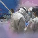 할리스고양 - 고양시 덕양구 권율대로 896-19 | 할리스고양