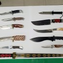 대전세관 이미지