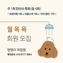 멍멍이 미장원 이미지