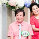 윤문식 카카오 검색결과