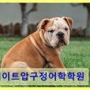 게이트압구정어학학원
