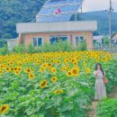 하동못안마을 이미지