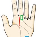 사고.우환,재앙등을 나타내는 재난선(災難線) 손금보기 이미지