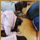 대화초등학교 이미지