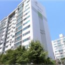 국화한신 이미지