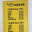 망쿠애견샵 이미지