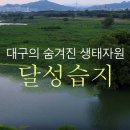 맹꽁이 | &#34;도심 한복판에 이런 자연이? 대구 성서 ‘맹꽁이 습지’ 직접 가본 솔직 후기!&#34;