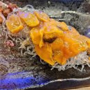 물고기자리(평택고덕점) 이미지