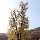 보통2리 마을회관 이미지