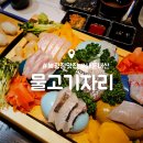 동탄 횟집 맛집 : 물고기자리 동탄점 : 송년회 내돈내산 후기