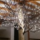 자작나무숲 스테이 이미지