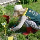 판교환경생태학습원 이미지