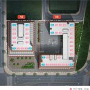 대성애견 이미지