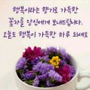 굿모닝 이미지