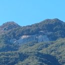 호암농산 티스토리
