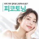 판교피코토닝 이미지