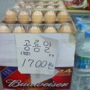 알 Daum카페