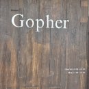 고페르 - 화성시 동탄순환대로12길 8 | ​동탄 소금빵 맛집 "고페르(Gopher)" 솔직후기! 차갑게 먹는 소금빵 (프로즌 소금빵) 사당주스