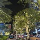 킴스게스트하우스 | 2. 나트랑 가족여행 마사지 가성비 킴스파 후기 카드 파크하우스 Parkhaus 메뉴 가격 귀국 김해공항...