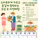 네모푸드 강북점 | 주말 아이와 수확체험하고 샐러드 만들기 | 강북 스마트팜 센터