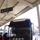 여량초등학교 | 곤드레의 고장, 정선의 한상차림 (2019 연말 배낭여행)(6편)
