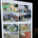 압구정소반 이미지