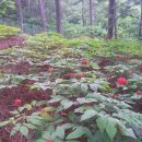 환원농장 이미지