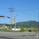 충북인삼협동조합 이미지