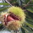 키즈어린이집 이미지