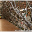 세기농장 이미지