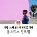 핑크애비뉴