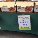순이네토굴새우젓 이미지