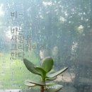 나, 비야 이미지