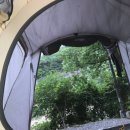 숲속에서 캠핑장 이미지