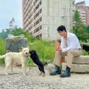 곱분이곱창북 | 오마이갓사기꾼양아치이즈히얼 (ft. 세븐틴 포토북 후기)