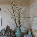 마산면사무소 앞 이미지