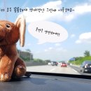 쌍용카써비스프라자 이미지