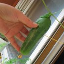 창경농장 이미지