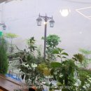 왓커피 - 전주시 완산구 홍산북로 13 | 왓커피