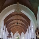 NINE BALL | 트립빌리지 남인도 스리랑카 풀패키지 다녀온 후기