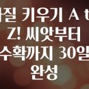 한국농약씨앗 | 바질 키우기 A to Z! 씨앗부터 수확까지 30일 완성