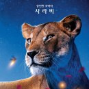 킹 이미지