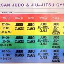 용인대 일산유도 체육관 이미지