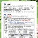 컴퓨터 활용능력 2급 자격과정 대비반 이미지