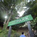 포레스트파크 | 워커힐 포레스트 파크 산책 후기 도심 속 힐링 공간 추천