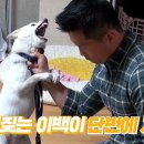 예덕식당 이미지