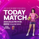 오늘 여자배구 플레이오프 1차전 이미지
