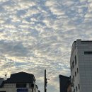 제주옥탑평택고덕점 | 평택 고덕 고기집 맛집 회식하기 딱 좋은 제주옥탑 평택고덕점
