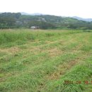 청화농원 이미지